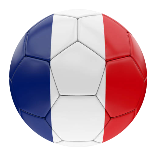 Campeonato Francês - Ligue 1 logo