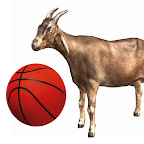 Goat Ball