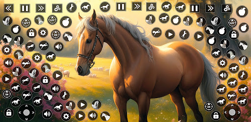 Horse riding stories