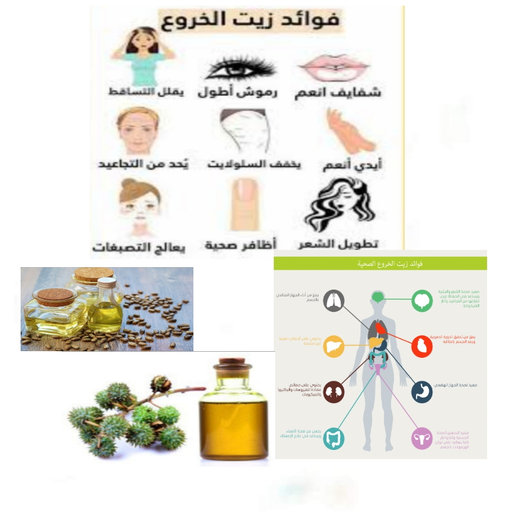 فوائد زيت الخروع logo