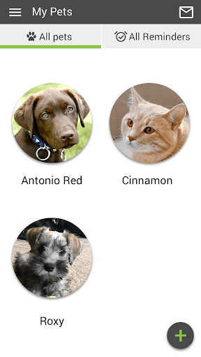 PAWS Vet Screen 3