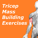 Triceps Workout - Mass Builder icon