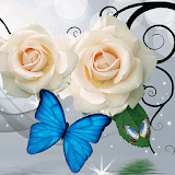 White Rose Butterfly icon