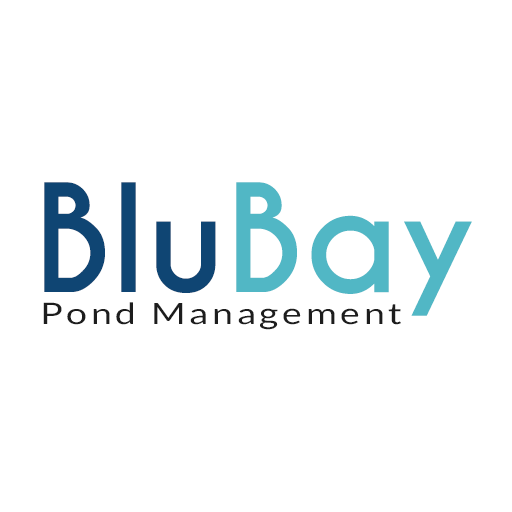 BluBay विंडोज़ पर डाउनलोड करें
