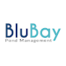 download BluBay apk