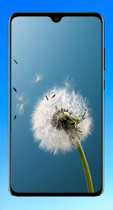 Captura de Pantalla 13 Dandelion Wallpaper HD android