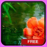 Floating Hibiscus Live Wallpap icon
