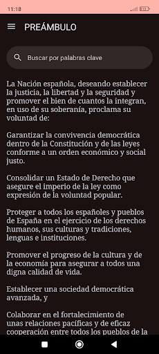 Constitución Española Screen 3