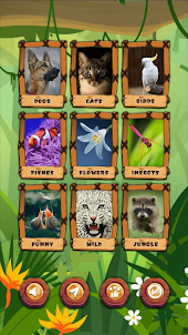 Animals Matching - Match Game