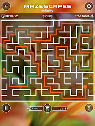 Mazescapes Amazing Maze