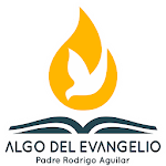Cover Image of Download Algo del Evangelio  APK