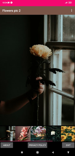 Android application Flowers pic 2 screenshort