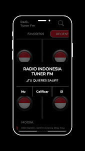 Radio Indonesia Tuner Fm