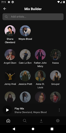 Screenshot of Plexamp