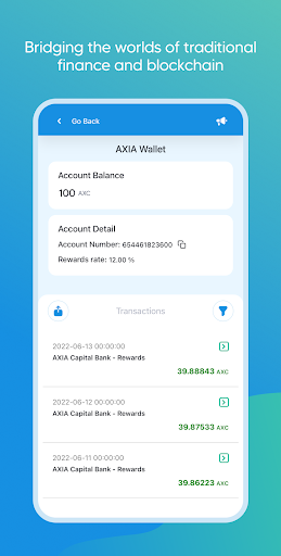 AXIA Capital Bank Screen 3