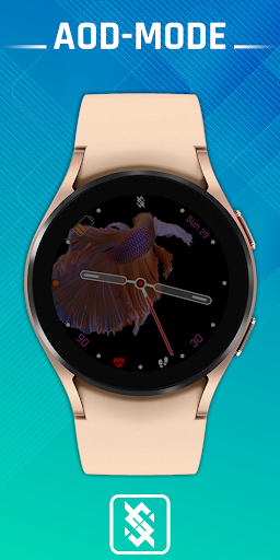 BFF24 - Animation Siames Fish screenshot 9