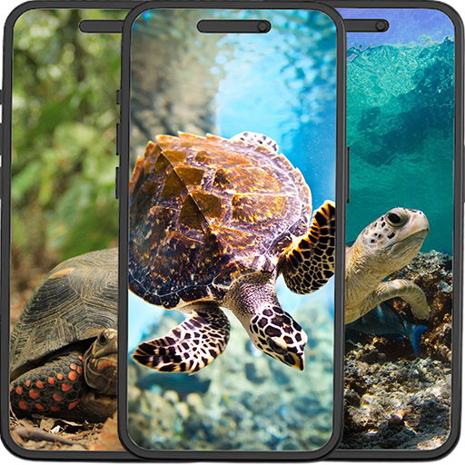 Turtles Wallpapers logo