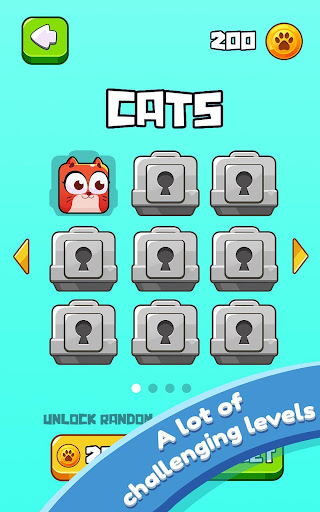 Cat Jumping Kitten Up, Square Cat Run, Kitten Run