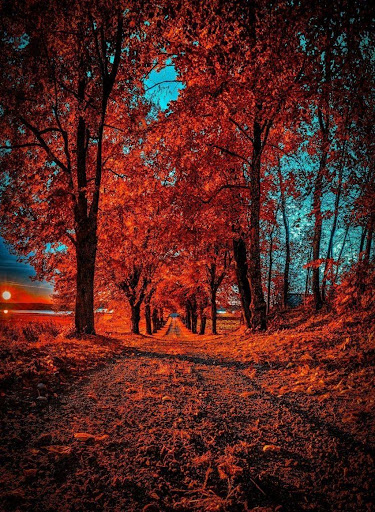 Cb backgrounds cool wallpapers Screen 2