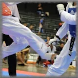 Taekwondo Wallpaper icon