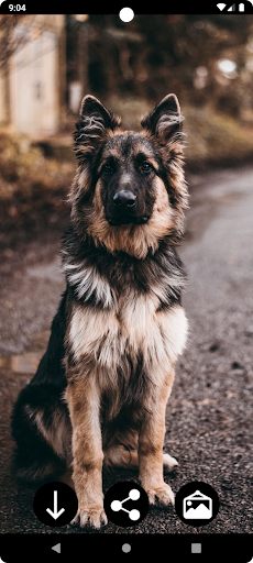 Dog Wallpapers Screen 3