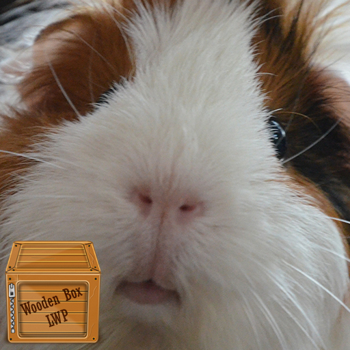 cute guinea pig wallpaper logo