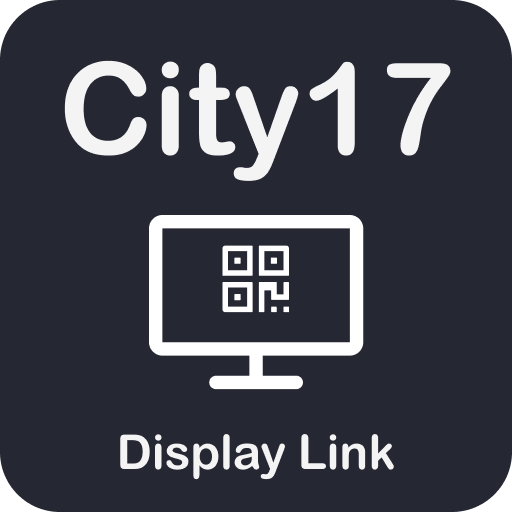 City17 Display Link 1.0.13 Icon