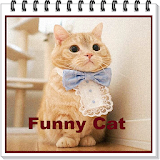 100 Funny Cat icon
