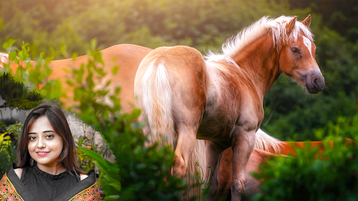 Horse Photo Editor and Frames screenshot 7