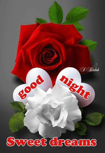 Good Morning Night Afternoon Evening GIF