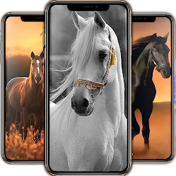 Icon image Horse Wallpapers