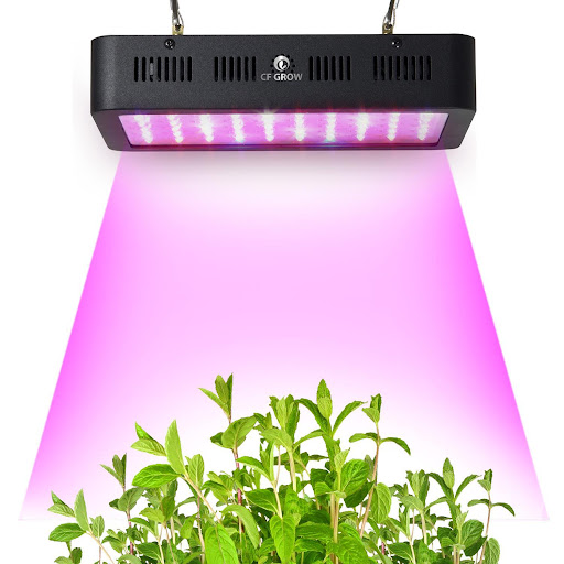 Hydroponic Green Light