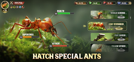 The Ants: Underground Kingdom - Strategy - games