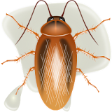 Killer cockroaches icon