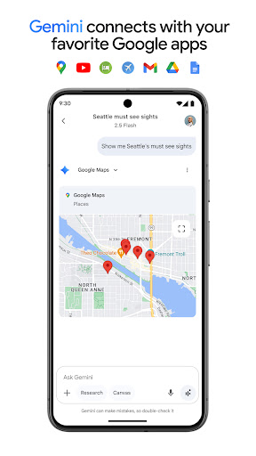 Google Gemini screenshot 6