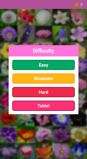 Android application Pairs Flowers screenshort