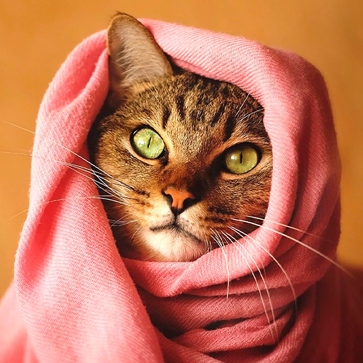 Cat Wallpapers logo