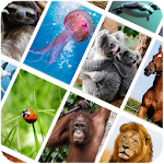 Cover Image of Herunterladen Picture Quiz: Animals  APK