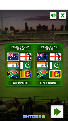 Cricket challenge Game 2020 - Screenshot 2