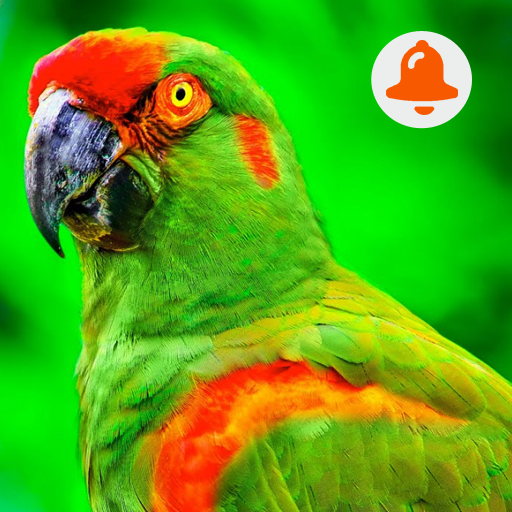 Bird Sounds : ringtone 2.0.0 Icon