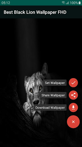 Best Black Lion Wallpaper FHD Screen 2