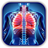 Chest X Ray - A Survival Guide