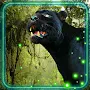 Panthers Tropical Forest APK icon