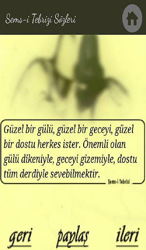 Mevlana ve Şems Sözleri