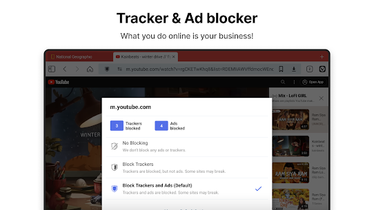 Vivaldi Browser – Fast & Safe 10