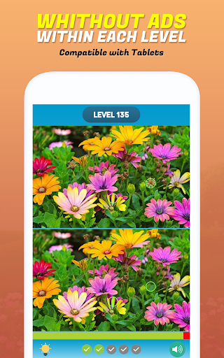 Find the Differences 300