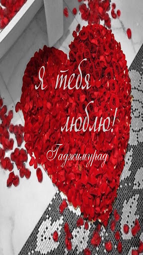 я люблю тебя