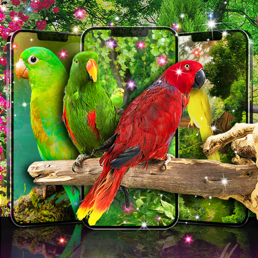 Live wallpapers birds 25.8 Icon