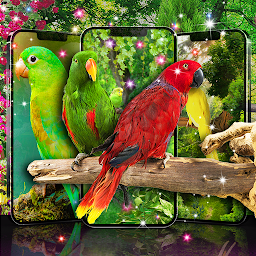 Icon image Live wallpapers birds