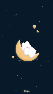 카카오톡 테마 - 밤하늘 토끼 3D